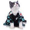 Cat Clothing