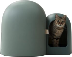 MS!MAKE SURE Cat Litter Box, Large ...