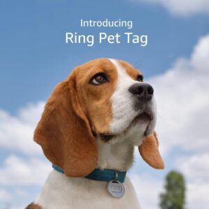 Ring Pet Tag | Easy-to-use tag with...