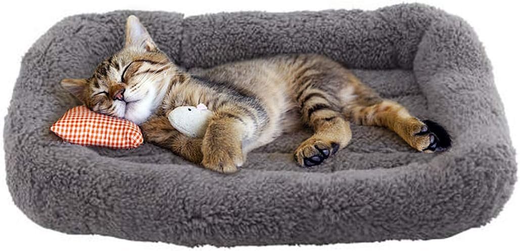 Enjoying Cat Mat Bed 10" x 15" Pet Bed with Pillow Around for Puppy Kitten Curled Sleeping Beds for Carrier/Crate Small Dog Cushion, Anti Skid Bottom, Small - Image 3
