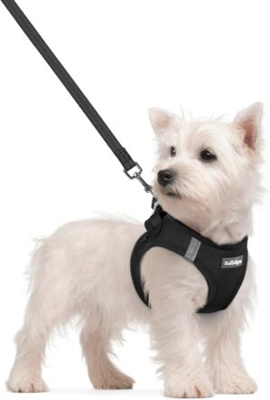 rabbitgoo Dog Harness Small Sized a...