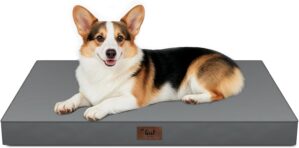 Outdoor Orthopedic Dog Bed, Waterpr...