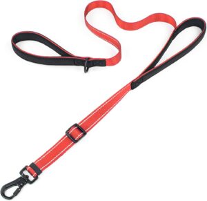 Reflective Double Handle Dog Leash ...