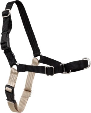 PetSafe Easy Walk No-Pull Dog Harne...