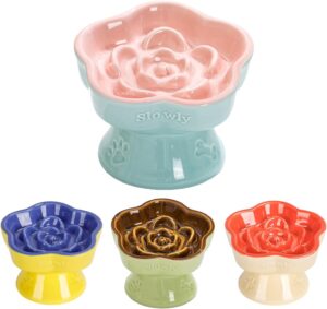 S&Q’s CERAMICS Raised Sl...