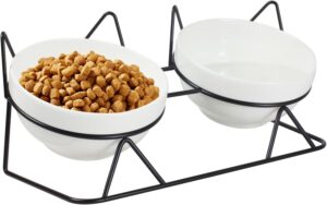 Elevated Tilted Cat Bowls for Indoo...