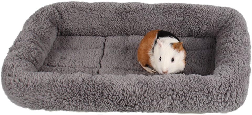 Enjoying Cat Mat Bed 10" x 15" Pet Bed with Pillow Around for Puppy Kitten Curled Sleeping Beds for Carrier/Crate Small Dog Cushion, Anti Skid Bottom, Small - Image 4