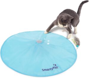 SmartyKat Electronic Motion/Moving ...