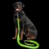 PetIsay Light up Dog Leash for Nigh...