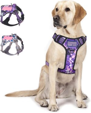 BUMBIN Tactical Dog Harness for Lar...