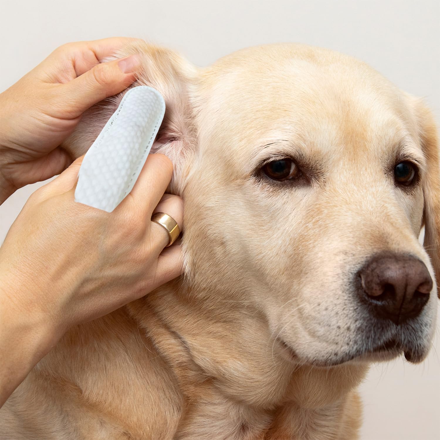 Paw Science Dog Ear Cleaner Wipes – Finger Wipes for Dogs & Cats – Cleaning, Soothing, & Deodorizing Itchy Ears – Pet Ear Relief Solution (Coconut) - Image 5