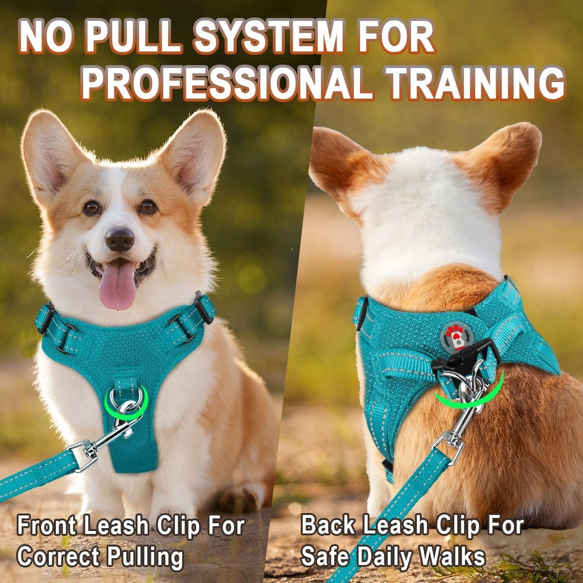 Dog Harness Step in Dog Vest Harness, Reflective Adjustable Puppy No Pull Harness Breathable Soft for Small and Medium Dogs Cats, Ocean Blue, S - Image 5