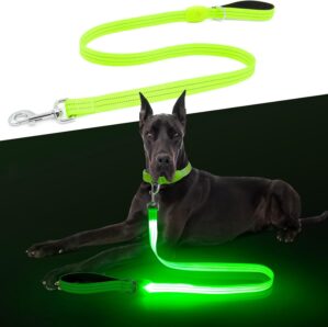 LED Dog Leash, Light Up Dog Leash 4...