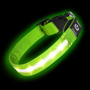 Super Bright LED Dog Collar –...