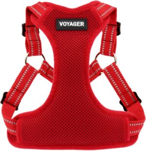 Best Pet Supplies Voyager Adjustabl...