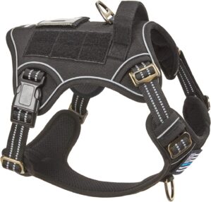 BUMBIN Tactical Dog Harness for Lar...
