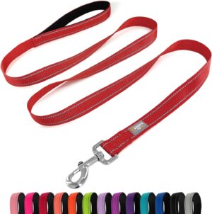 Dog Leash 6 FT Padded Handle Nylon ...