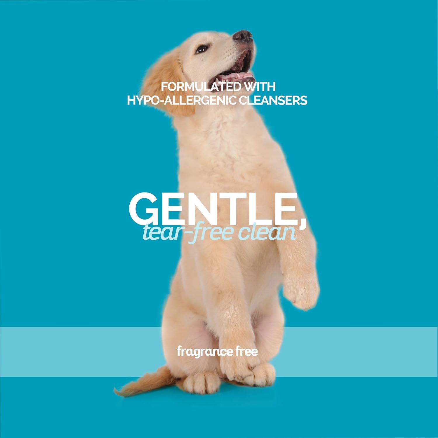 Bark2Basics Sensi-Skin Hypoallergenic Dog Shampoo, 1 Gallon, All Natural Ingredients, Sensitive Skin Pet Shampoo, Gentle, No Fragrance, Non-Irritating, For Dogs with Allergies and Dry, Itchy Skin - Image 4