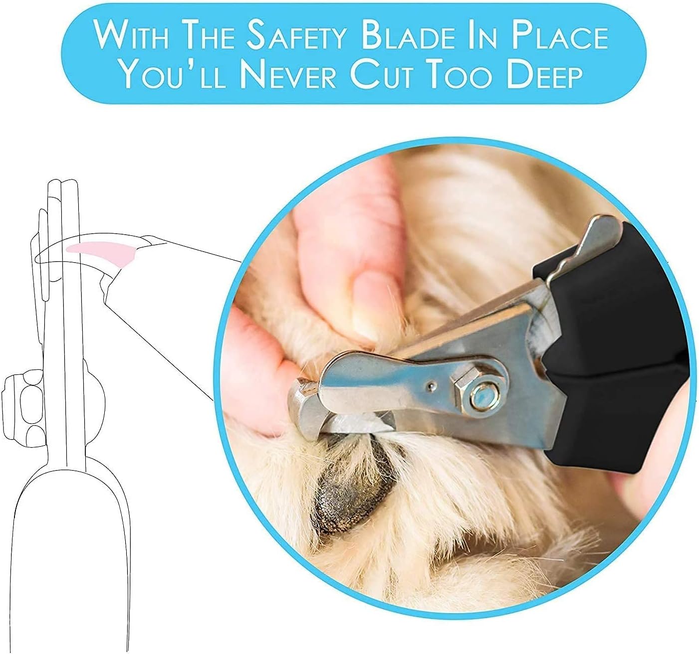 Candure Dog Nail Clippers and Trimmer with Safety Guard to Avoid Over-Cutting Toe Nails Professional Grooming Pet Nail Clipper with Nail File for Small Medium-Large Breeds - Image 5