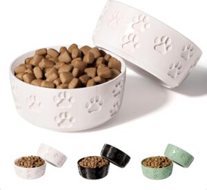 Ceramic Dog Bowl Set of 2 with Anti...