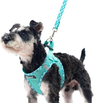 PUPTECK Dog Harness and Leash Set f...
