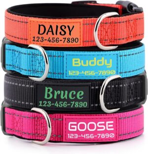 Personalized Dog Collars Custom wit...