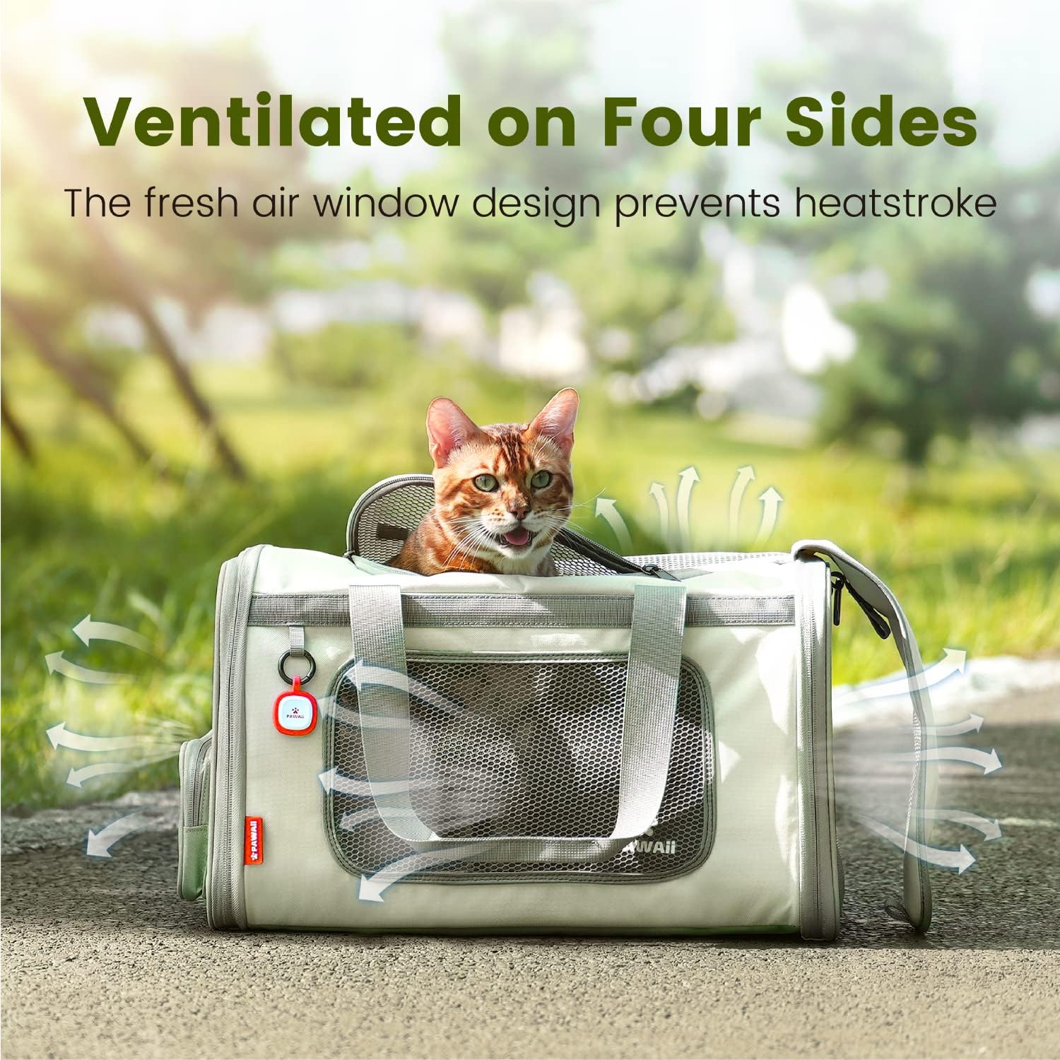 Pawaii Cat Carrier with ID Tag, TSA Airline Approved Soft Sided Collapsible Pet Travel Carrier, Portable Comfortable Convenient Foldable Cat Travel Bag - Image 9