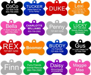 Providence Engraving Pet ID Tags in...