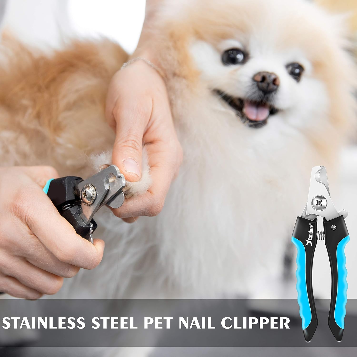 Candure Dog Nail Clippers and Trimmer with Safety Guard to Avoid Over-Cutting Toe Nails Professional Grooming Pet Nail Clipper with Nail File for Small Medium-Large Breeds - Image 4