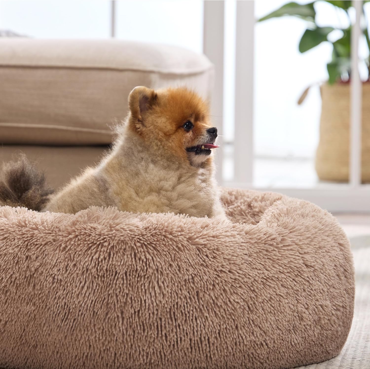 Bedsure Calming Cat Beds for Indoor Cats - Small Cat Bed Washable 20 inches, Anti-Slip Round Fluffy Plush Faux Fur Pet Bed, Fits up to 15 lbs Pets, Camel - Image 7