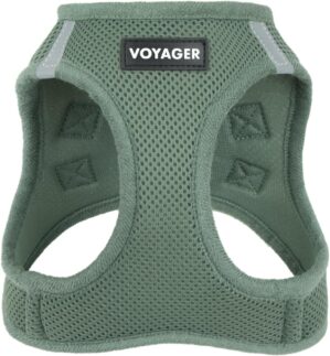 Best Pet Supplies Voyager Step-in A...
