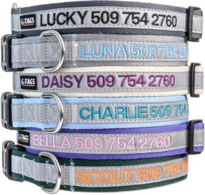 GoTags Reflective Personalized Dog ...