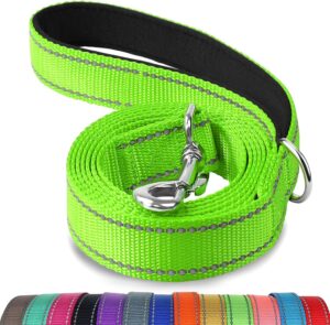 Joytale Dog Leash, 6 FT Double-Side...