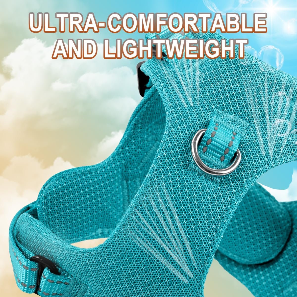Dog Harness Step in Dog Vest Harness, Reflective Adjustable Puppy No Pull Harness Breathable Soft for Small and Medium Dogs Cats, Ocean Blue, S - Image 2