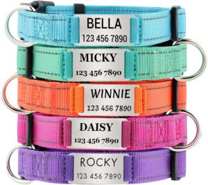 Personalized Dog Collars with Custo...