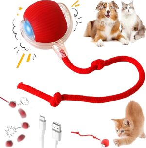 Purrmitive 2026 Durable Interactive...
