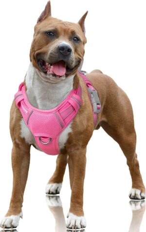 BARKBAY No Pull Dog Harness Large R...