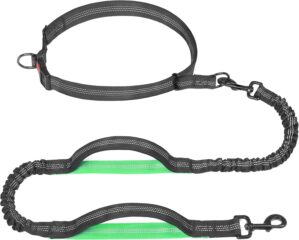 Hands Free Dog Leash for Running, W...