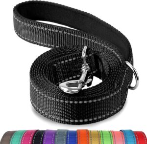 Joytale Dog Leash, 6 FT Double-Side...
