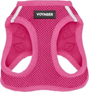 Best Pet Supplies Voyager Step-in A...