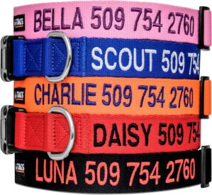 GoTags Personalized Dog Collar, Cus...
