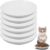 6 Pack Cat Food Bowl, Ceramic Cat Bowls, Anti Whisker Fatigue Cats Bowl Set,5.5 Inches Shallow Wide Kitten Plates for Food and Water (White-C)