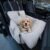 JACKO & CO Premium Dog Car Seat – Safe & Cozy Travel Bed Carrier for Small Dogs, Puppies, Pets, Clip-On Leash, Storage Pockets, Water-Resistant, Machine Wash (Grey, Standard Small (1-25lbs))