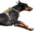 BUMBIN Tactical Dog Harness for Large Dogs, No Pull, Reflective, Green, L(Neck:19-25″, Chest:21-35″)