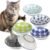 Ceramic Cat Bowls with Non-Slip Silicone Bottom,6 Pack Cat Food Bowl,Anti Whisker Fatigue Cats Dishes for Indoor Cats,Healthy Ceramic Kitten Plates for Daily Feeding Gift Choice (Classic)