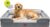 Extra Large Dog Bed, Orthopedic XL Washable Memory Foam Bed for Big Dogs Waterproof Pet Couch Sofa Bolster with Removable Cover, Non-Slip Bottom, Tennis Ball Toy, 42×30