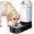 Automatic Dog Water Bowl Dispenser – 2.4 Gallon Stainless Steel Gravity Pet Water Feeder with Ergonomic Handle Design Anti Splash Drinking Bowl Without Filter Easy to Clean Multi Pet Use