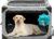 Dog Crate,36x25x25 Inch Large Dog Crate for Large or Medium Dogs, Portable and Foldable Design of Dog Cage, Perfect for Travel or Home Use, Dog Kennel with 3-Door and Durable Mesh Windows, Light Grey